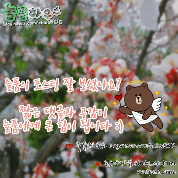 늘품에듀 이미지