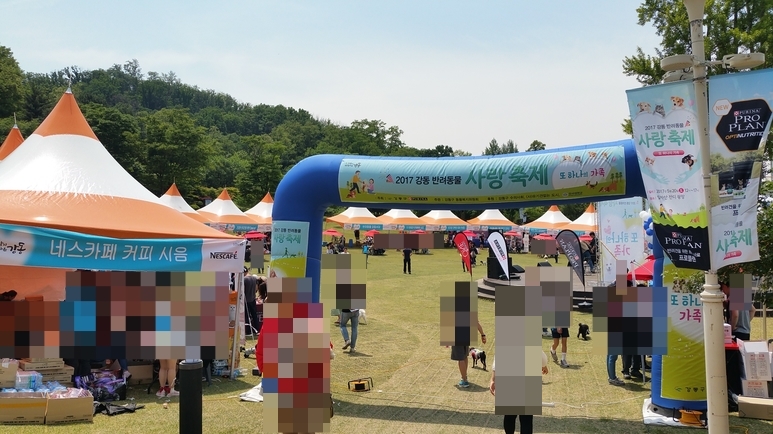 강동구 사랑축제 후기: 강아지 동반 나들이 정보 — 사진 4