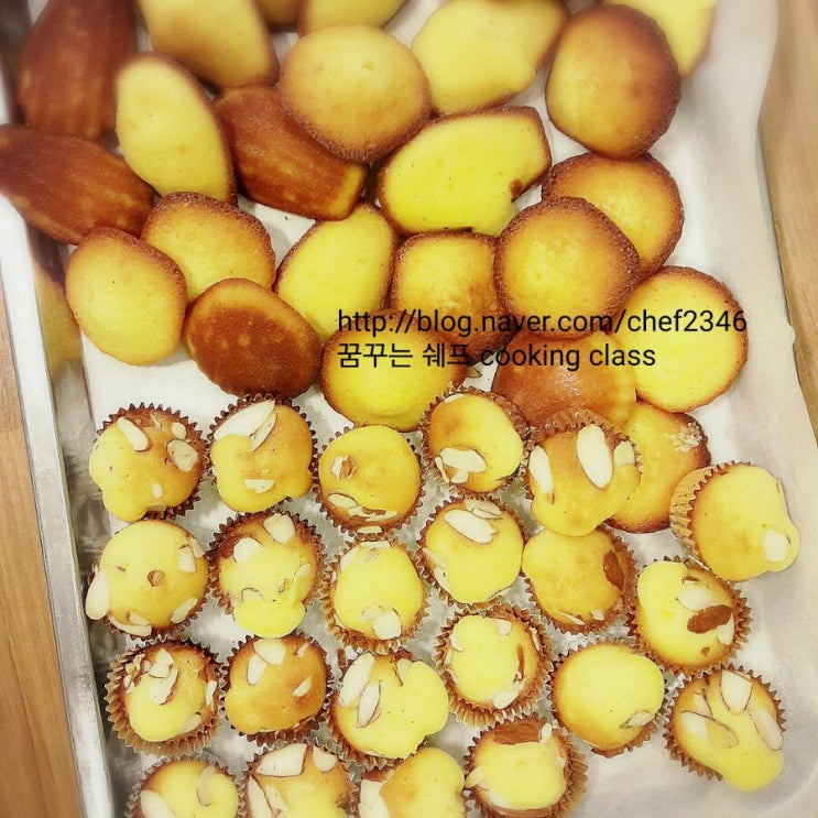 마들렌음악학원 이미지