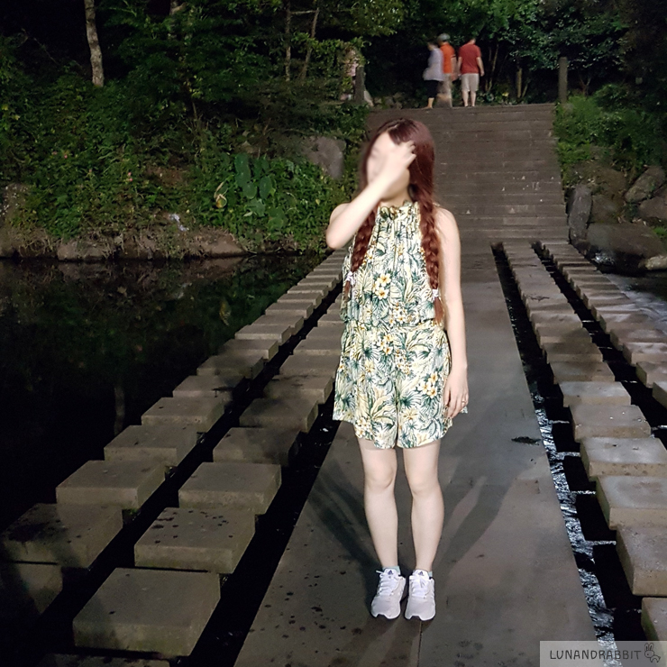 소보록요보록 이미지