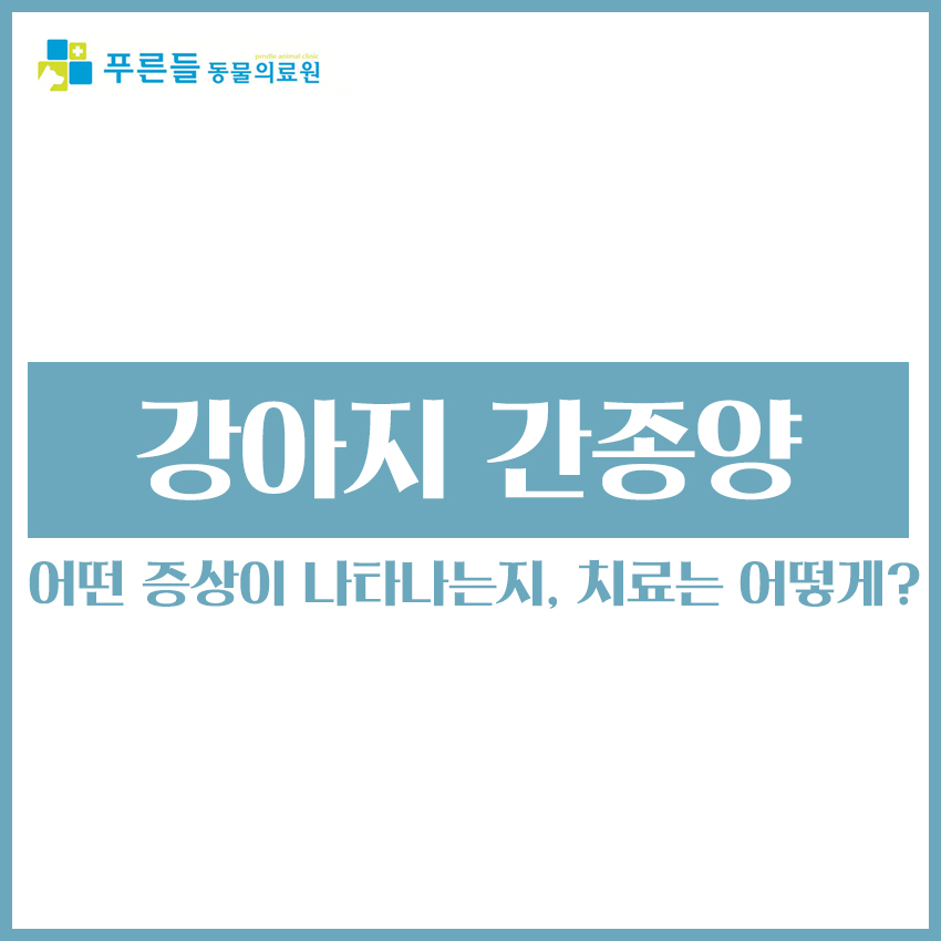푸른들동물병원 이미지