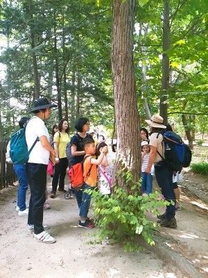 한국미혼모가족협회 이미지