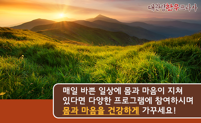 소울치유의숲 이미지