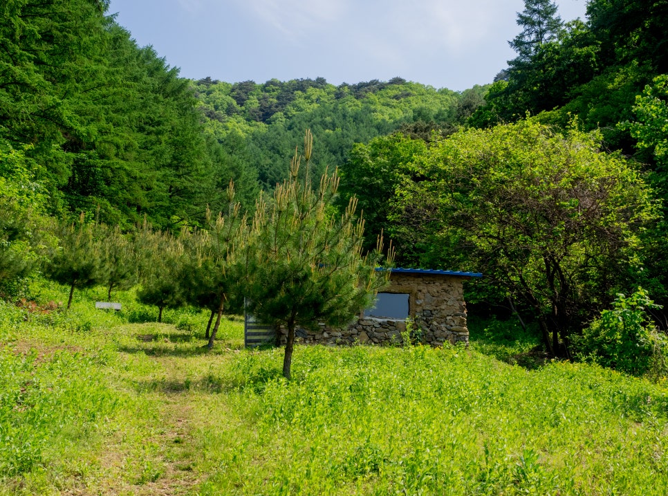 숲속나무공방 이미지