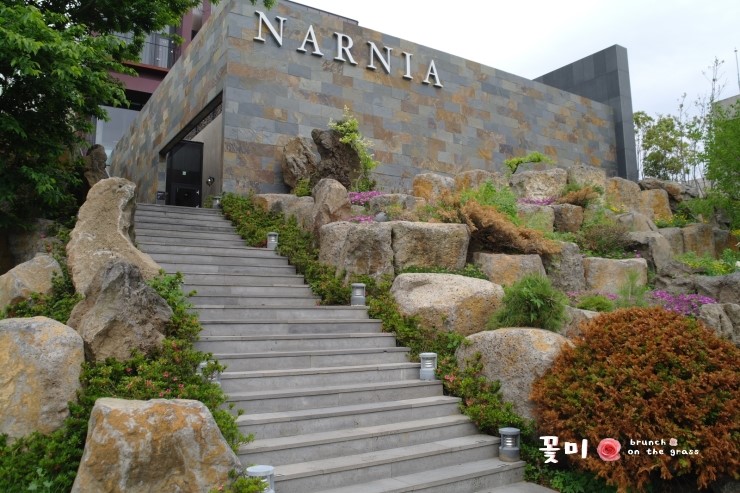 몽드로제주 이미지