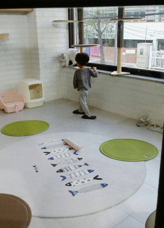 마이펫가든 이미지