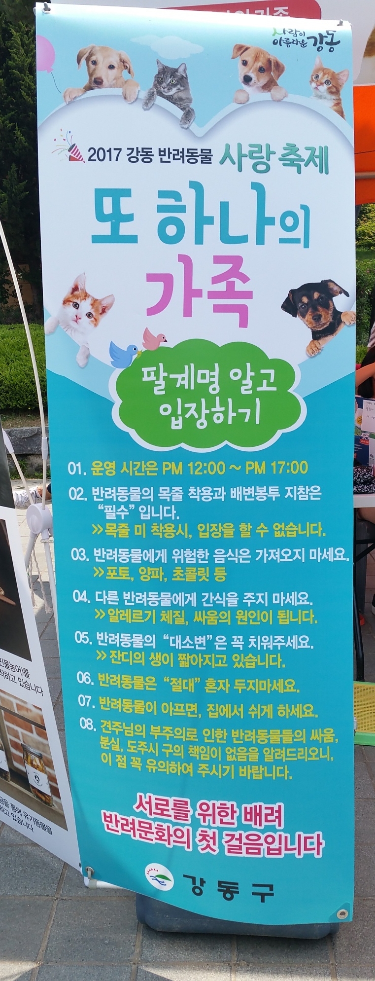 강동구 사랑축제 후기: 강아지 동반 나들이 정보 — 사진 3