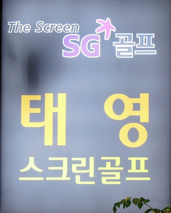 태영스크린 이미지