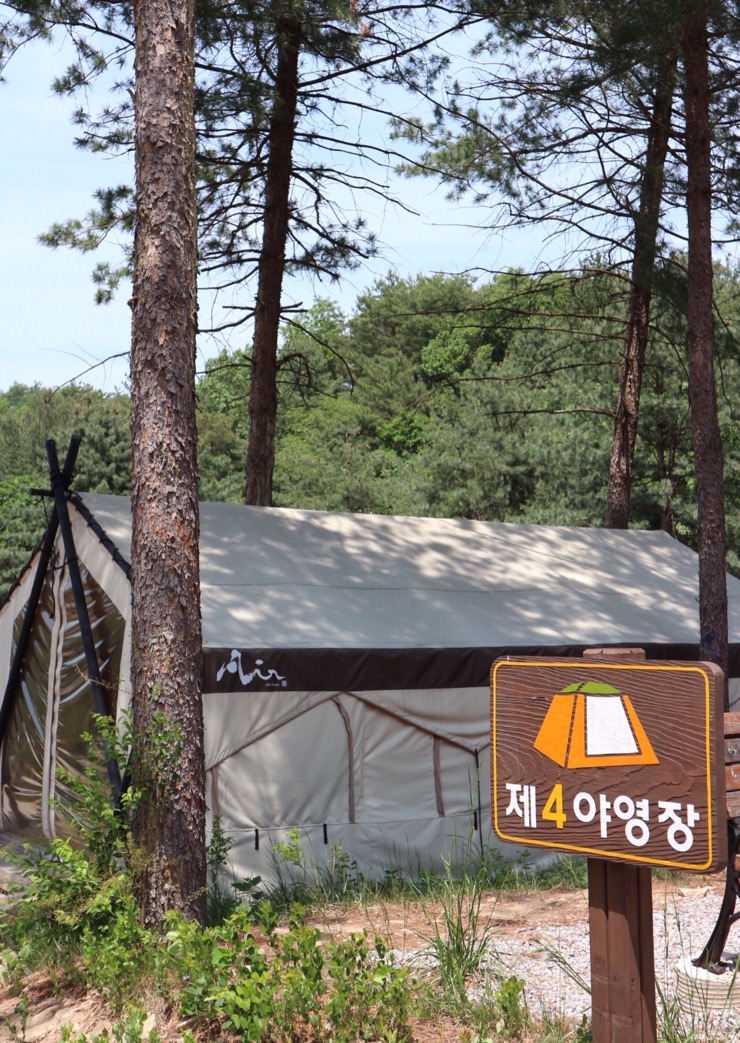 하늘숲 야영장 이미지