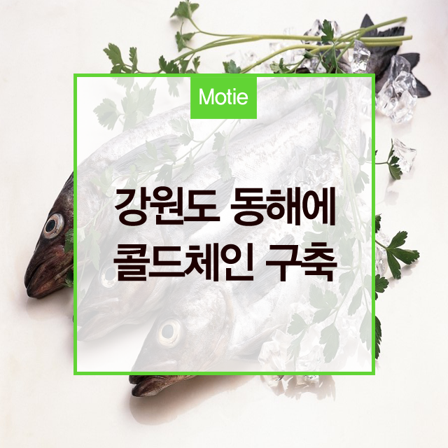 동해무역&수산 이미지