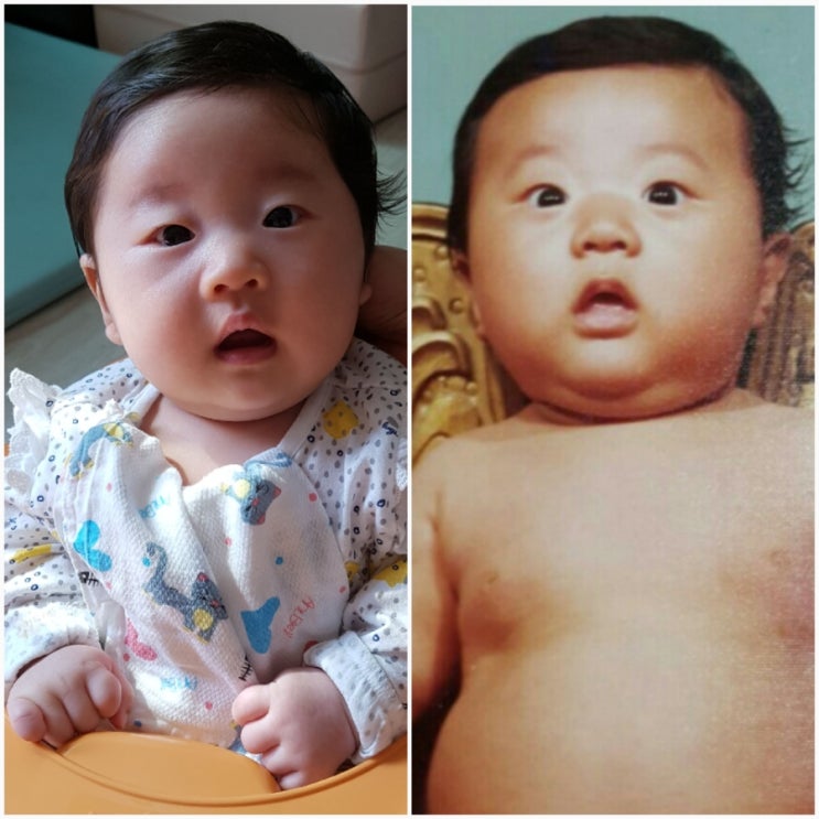 서아 이미지