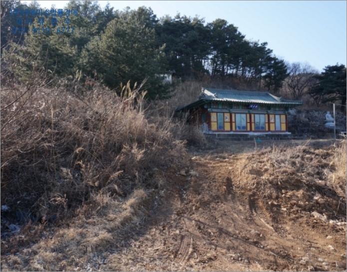 마시리 이미지