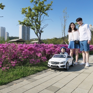 부산시민공원전동차 이미지