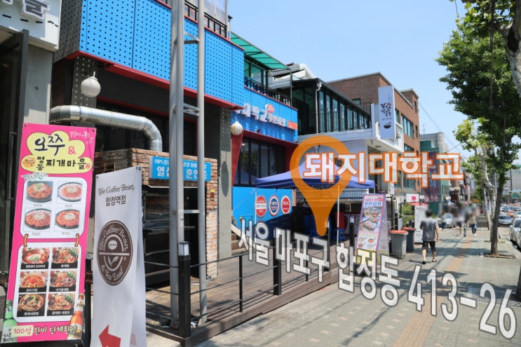 돼지대학교 이미지