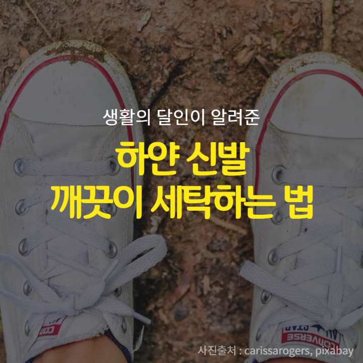 하얀운동화세탁 이미지