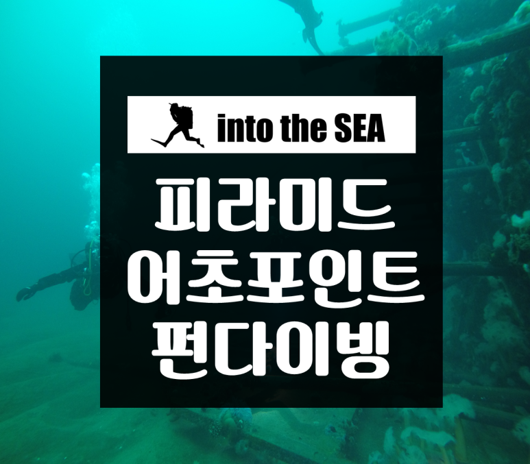 인투더씨 이미지