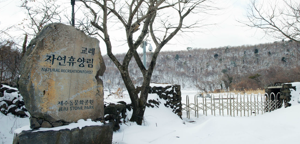 교래자연휴양림 이미지