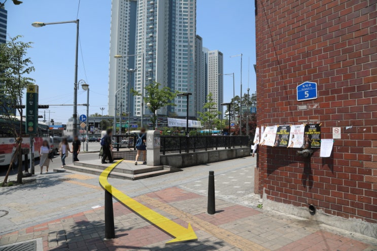 돼지대학교 이미지