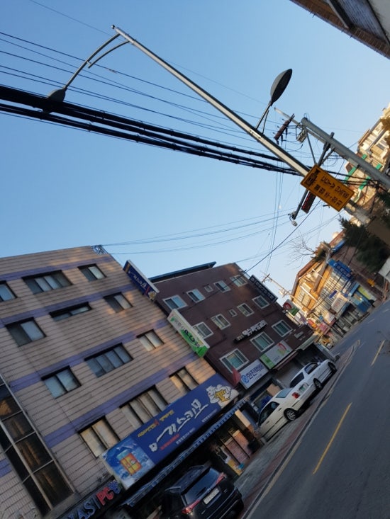 금화장 이미지