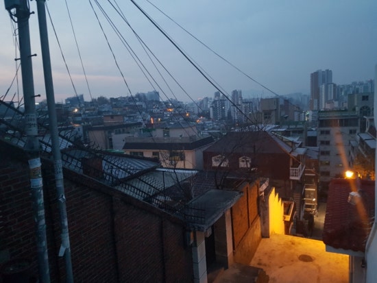 금화장 이미지