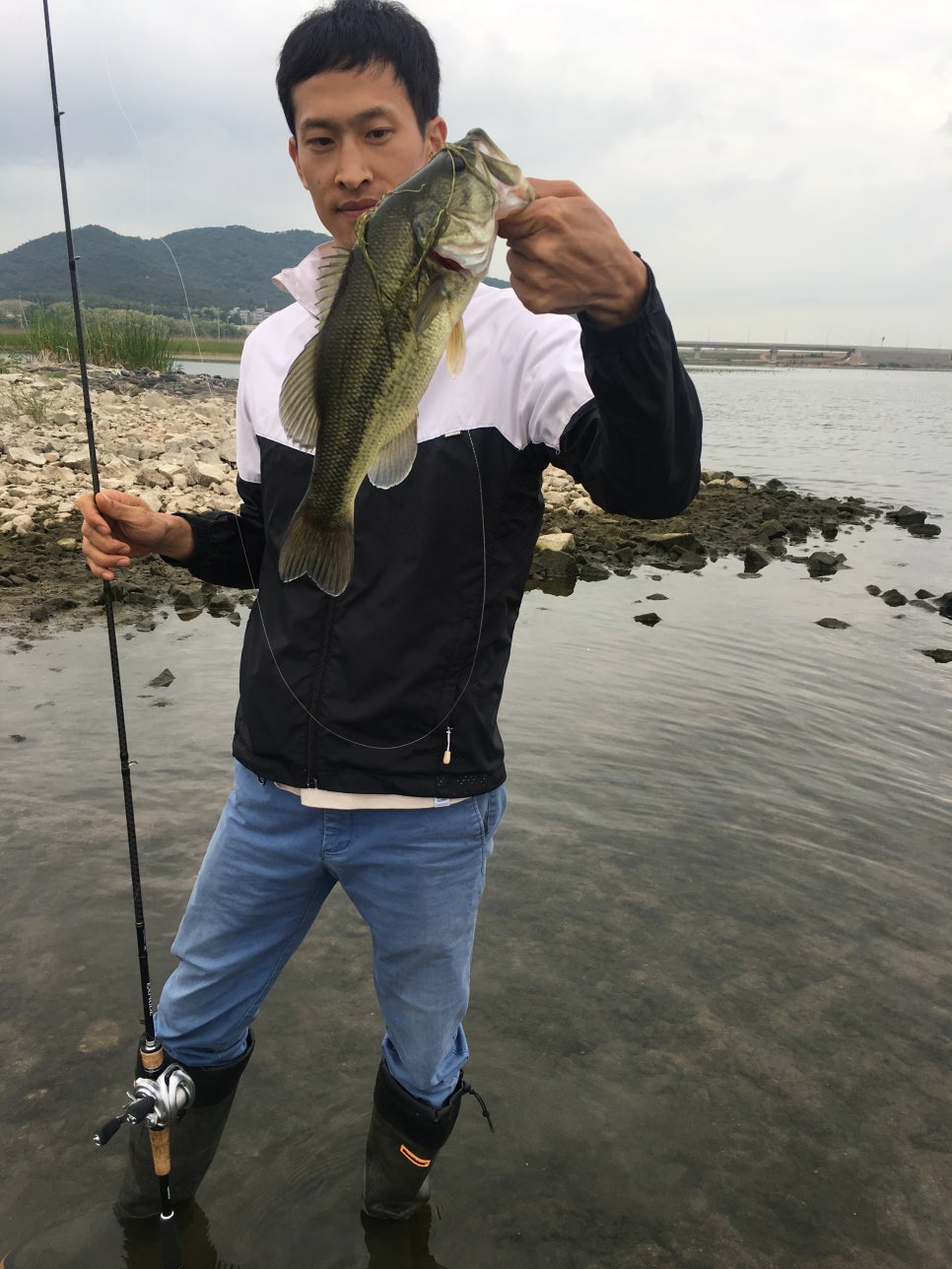 대산라인 이미지