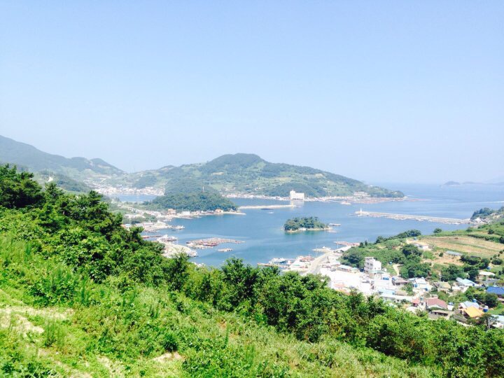 금단포차 이미지