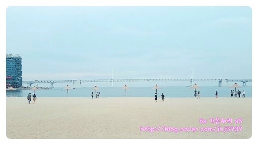 모히또바인오션 이미지