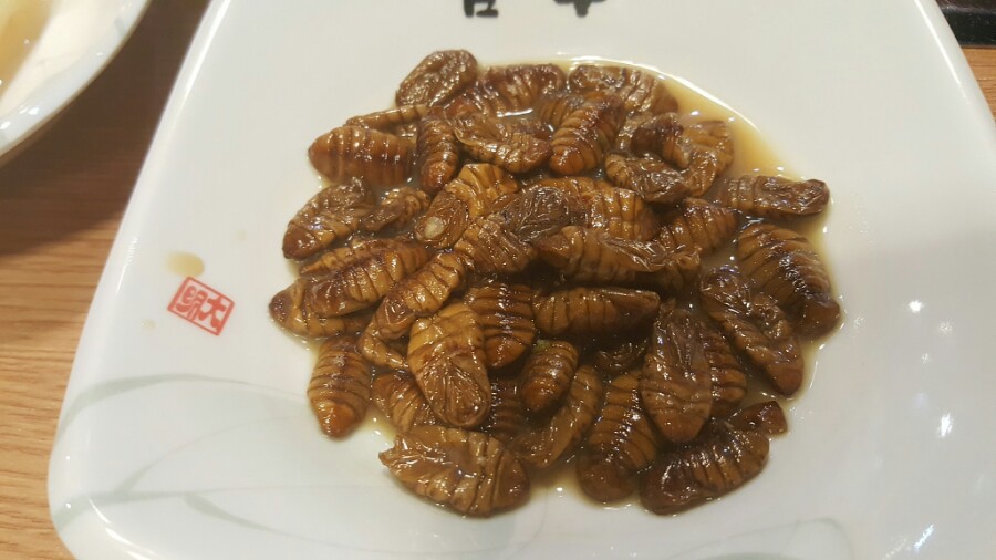 뽐뿌민물장어 이미지