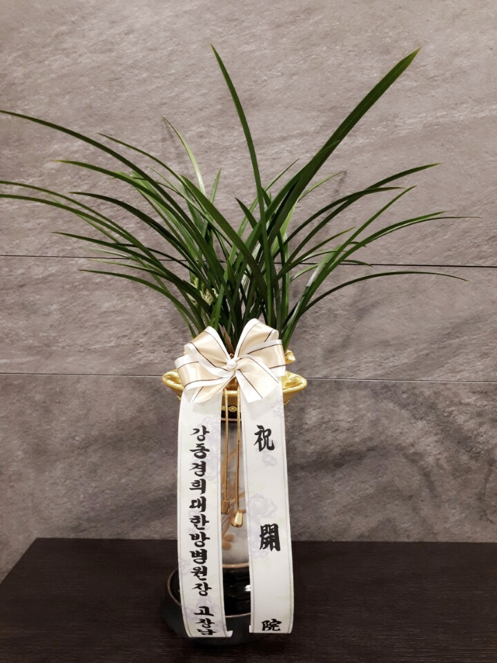 경희하늘맘한의원 이미지