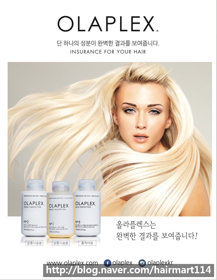 동미사 이미지