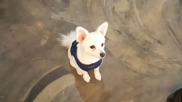 카페바라봄 이미지