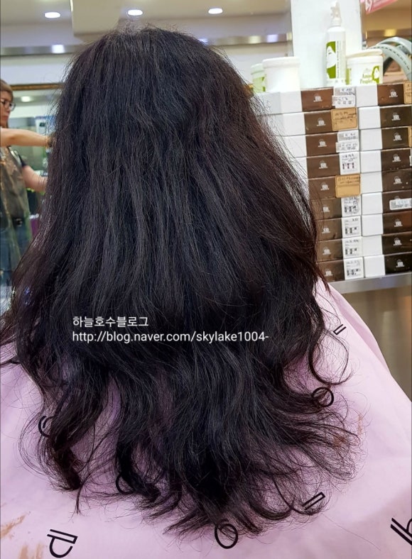 에스티헤어(ST헤어) 이미지