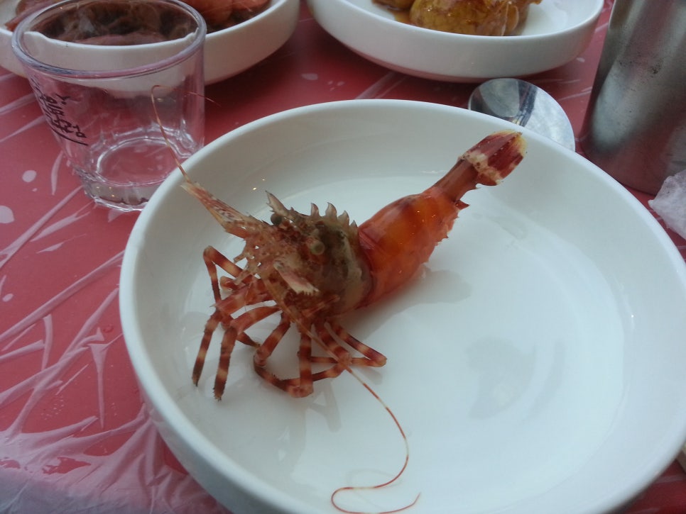 독도꽃새우 이미지
