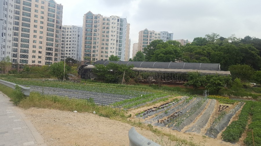 시골농장1호 이미지