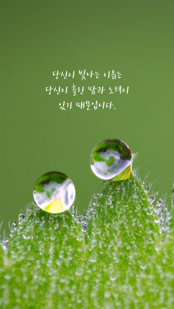 아작 이미지