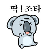 논산시트 이미지