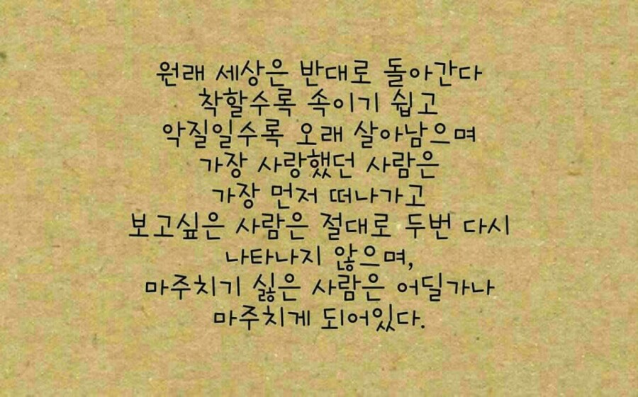 청양친환경블루베리농장 이미지