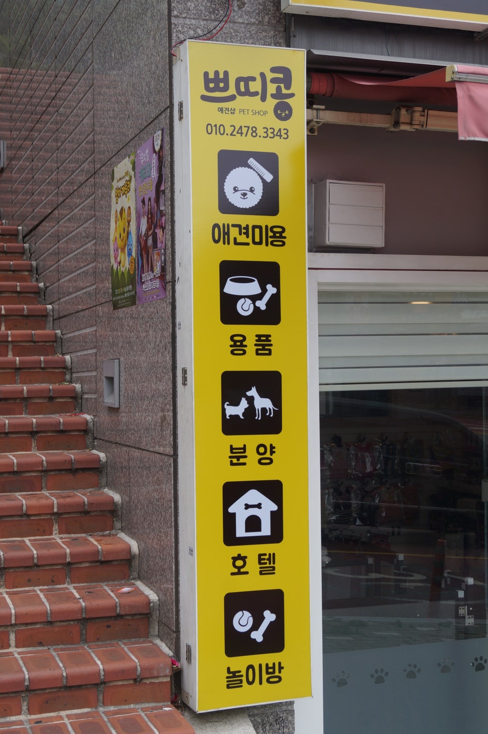 쁘띠콩 이미지