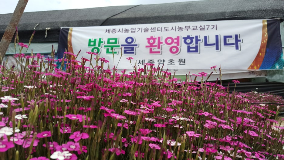 세종약초원 이미지