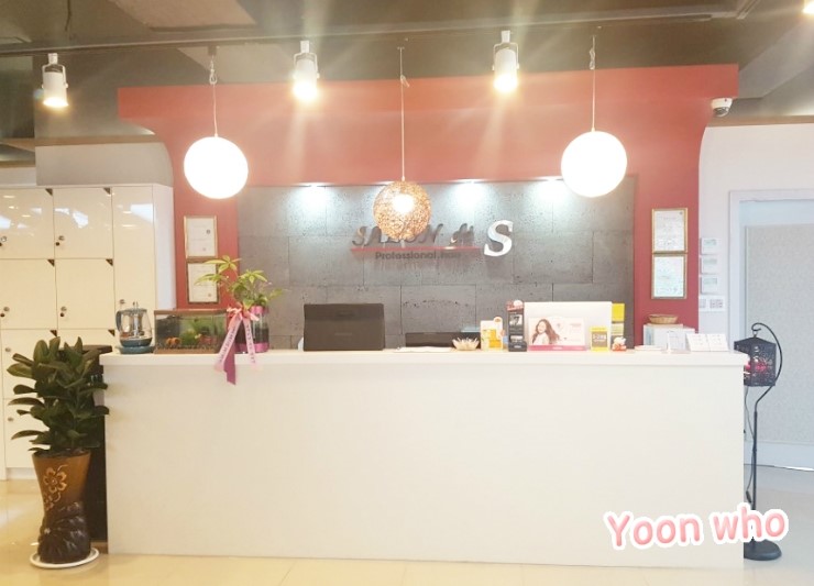 살롱드에스 이미지