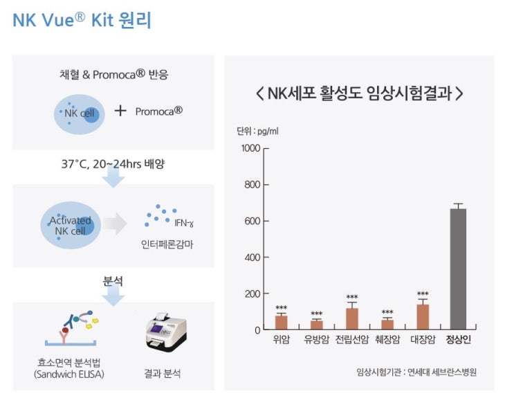 둔산라파엘의원 이미지