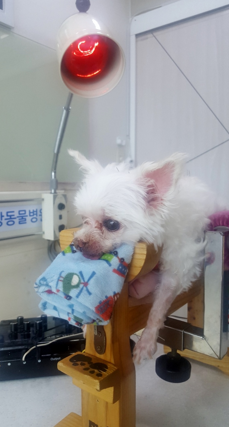 두암한방병원 이미지
