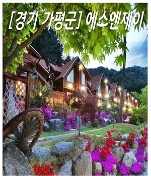 에스엔제이 이미지