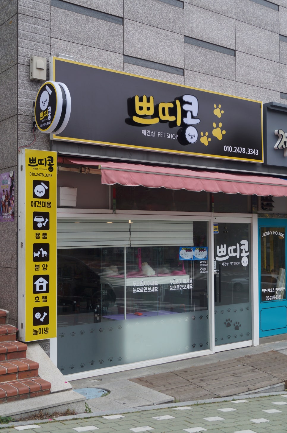 쁘띠콩 이미지