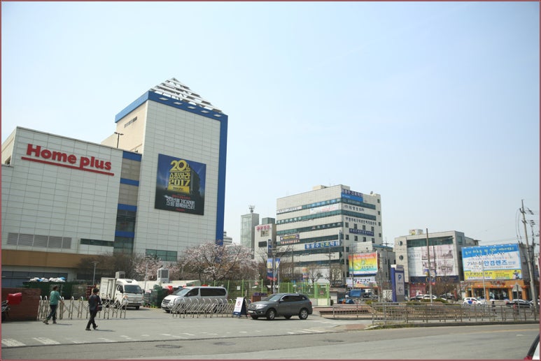 산수옥모밀 이미지