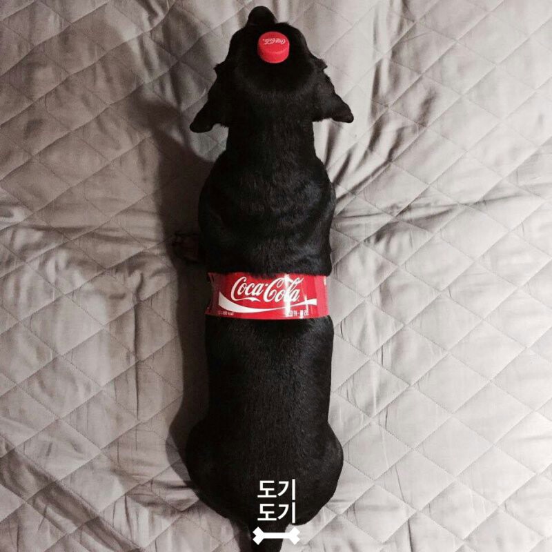 리메디 이미지