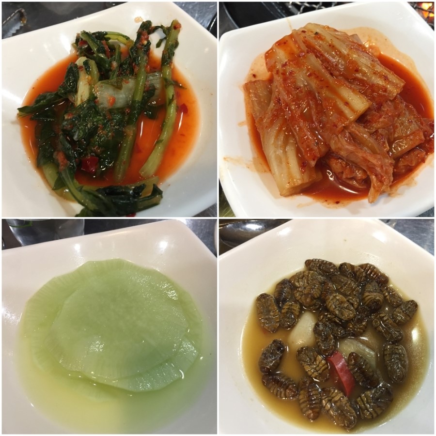 대주축산 이미지