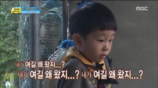 가온밀면 이미지
