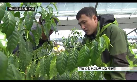 다람쥐똥커피 이미지