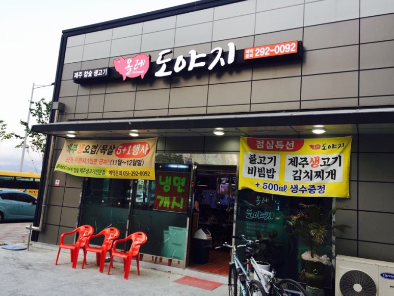 올레도야지 이미지